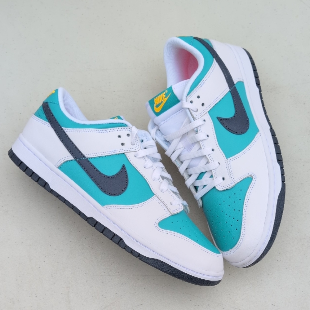Nike Dunk Low Retro - Dusty Cactus - Men's Size 11 ( HF4850-345 )